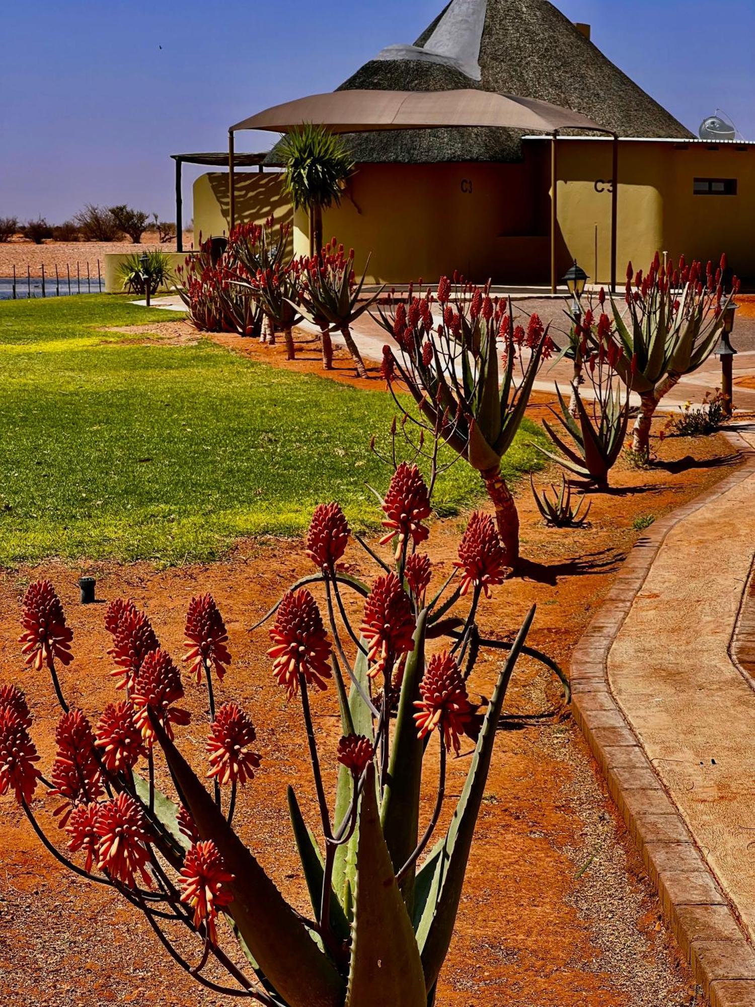 Lapa Lange Game Lodge Mariental Extérieur photo